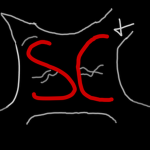 Skrunkle Cats