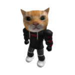 AMD CATMAN