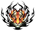 ♚Tiger's Clothing♚
