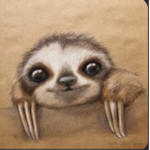Save The Sloth’s