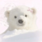 ʚ . ɢʀᴀᴄᴇ’s ʙᴀsᴇᴍᴇɴᴛ . ɞ