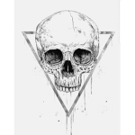 The Skullz Fan Club