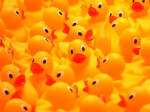 Duck Lovers Studio