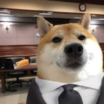grupoparatodos UwU