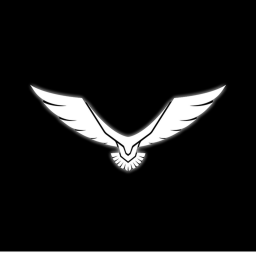 Blackhawk Sword Battlegrounds