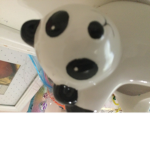 Do you like pandas