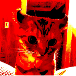 lazybot
