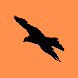 Cold Sports Asset Hub