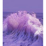 Happy Lavender Vibes