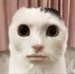 ペニーワイズたけしのファンクラブ