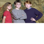 No.1 Harry Potter fan