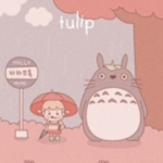 • tulip •