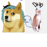 (doge and cat) hilda group!!!