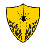 Amber Spider
