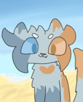 [+ Sugar-Shark Bay +]