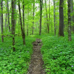 The Vibe Forest