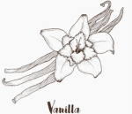 Vanilla-beans <3