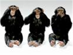 Monkey Lovers Club