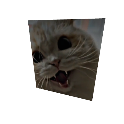 CUTE CAT HISS