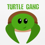 Turtle Gang Group