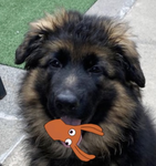 SquidsNStuff