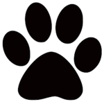 siamese paws staff group
