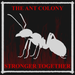 THE ANT COLONY !