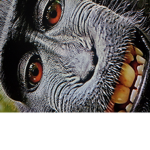Monke militairy
