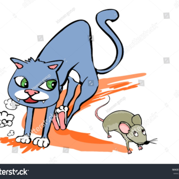 mouse RP