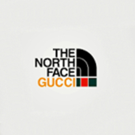 TheNorthFaceGucci