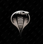 [CK] Cobra Killers