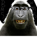 OSC Of The Bronx