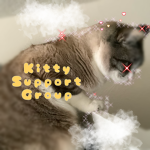 Kitty support group