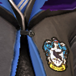 Ravenclaw team!
