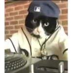 CewlPotato
