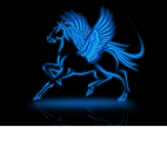 +Blue Stars Riding Academy+