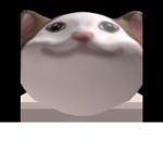 PopCat Squad