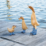 Da duck group :D