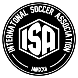ISA 24