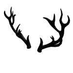 Black Antlers