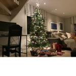 THE PRETTY CHRISTMAS TREE FOR LONG TIME