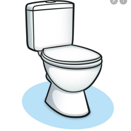 Battle For The Toilet
