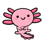 Axolotl FR3INDS AND B3STIES