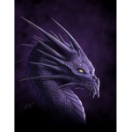 Dragon Bandaset