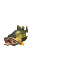 LIMITED FISH EXCLUSIVE shoulder pal