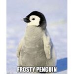 Frostys Penguins