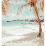 Fʀᴏɢɢʏ :ᴅ