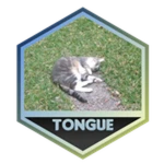 caption=Badge