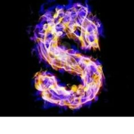surprise me