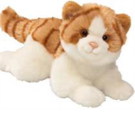 i adore cats